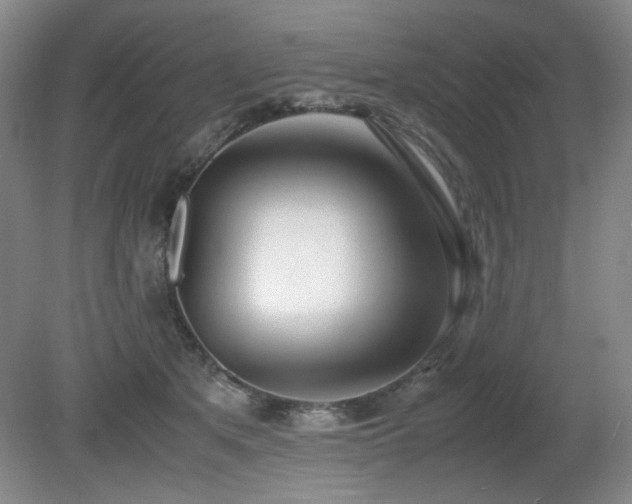 X0000080780513200612151432