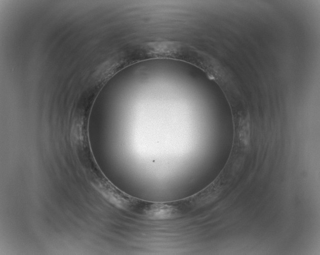 X0000080780514200612151432