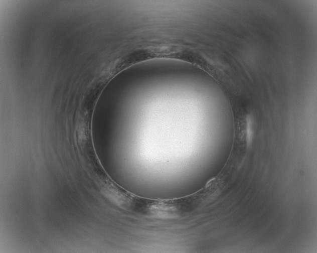 X0000080780515200612151432