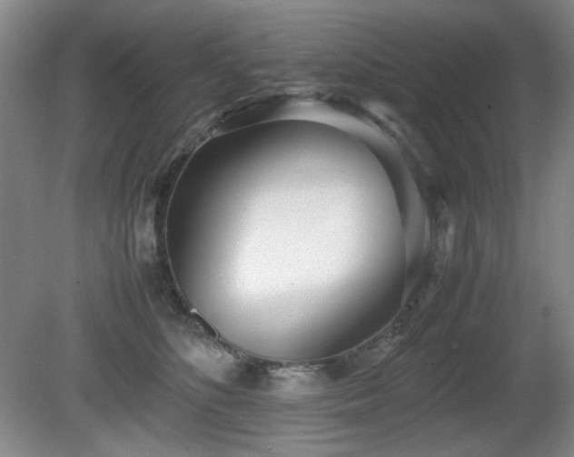 X0000080780516200612151432