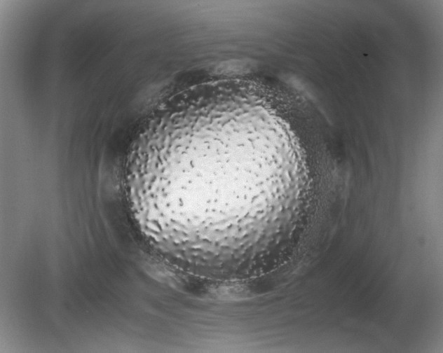 X0000080780517200612151432
