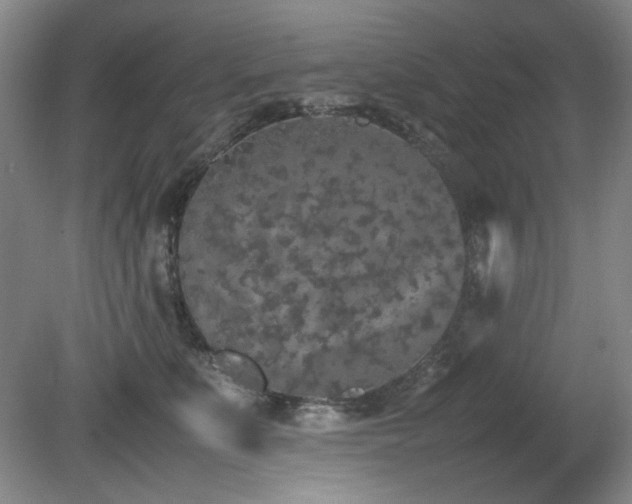 X0000080780519200612151432