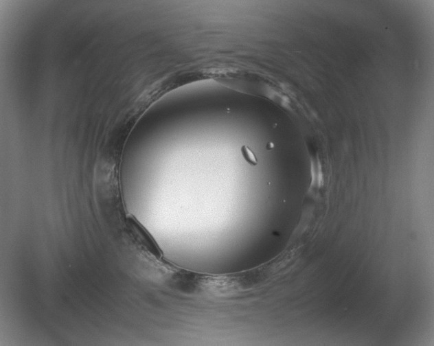 X0000080780521200612151432