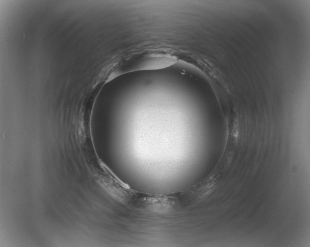 X0000080780524200612151432