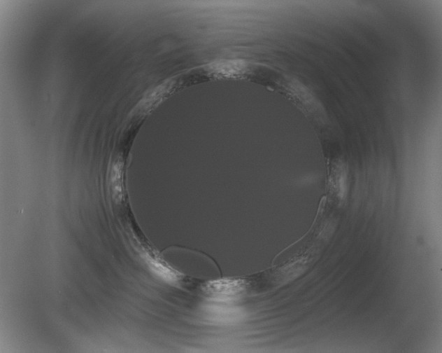 X0000080780526200612151432