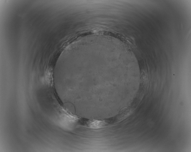 X0000080780527200612151432