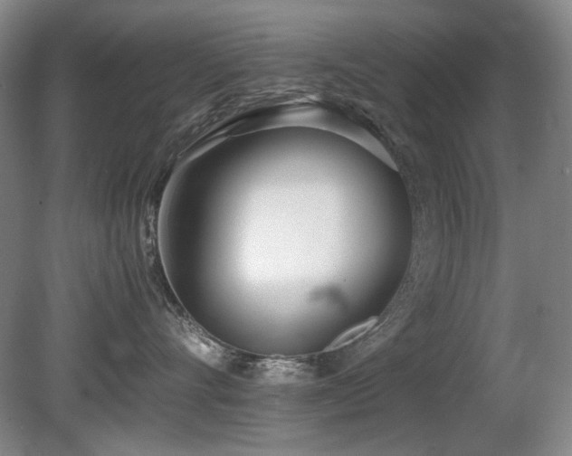 X0000080780528200612151432