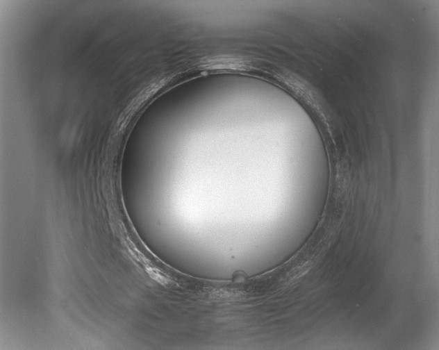 X0000080780529200612151431