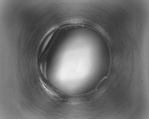 X0000080780530200612151431