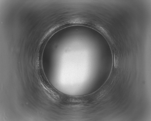 X0000080780531200612151431