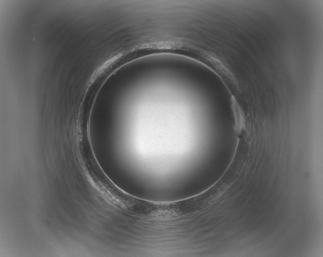 X0000080780536200612151431