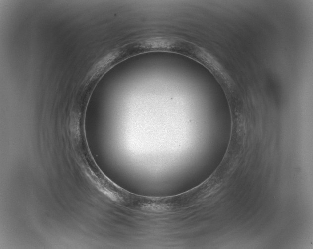 X0000080780537200612151431