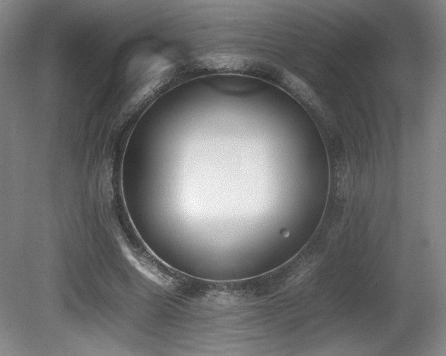 X0000080780538200612151431