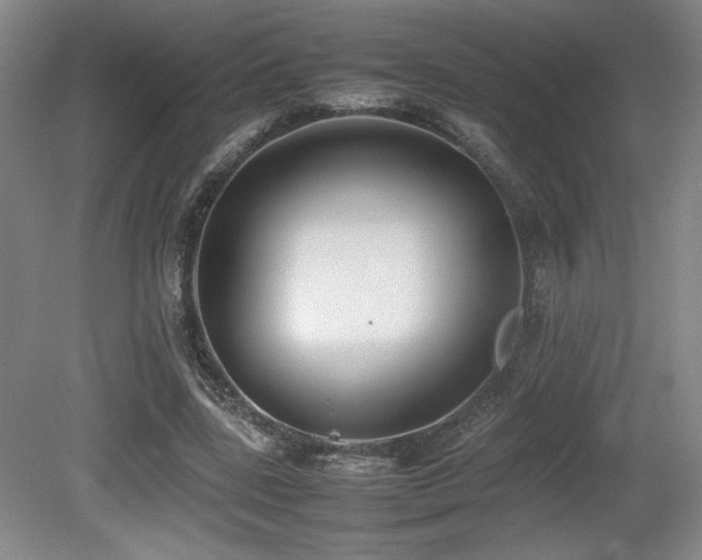 X0000080780539200612151431