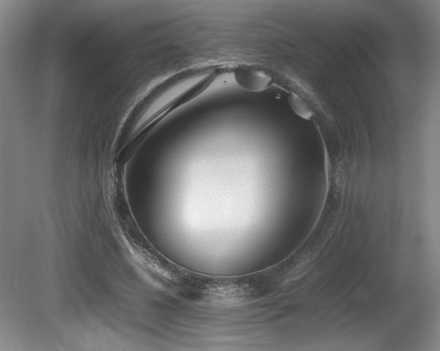 X0000080780540200612151431