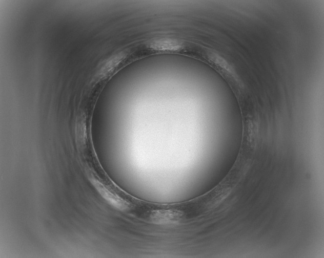 X0000080780541200612151431