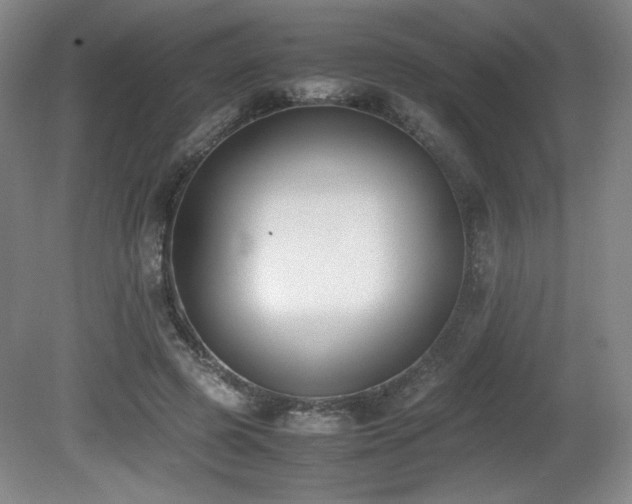 X0000080780545200612151431