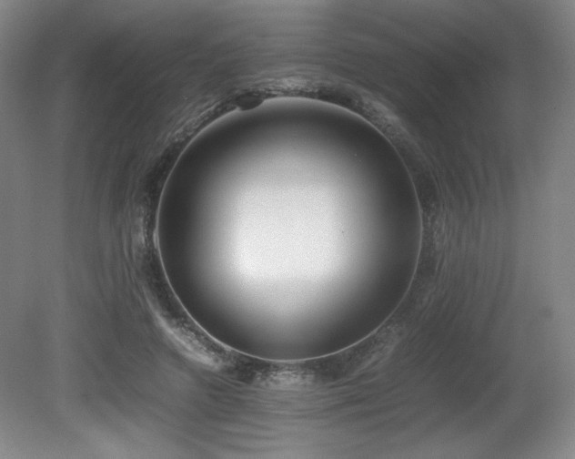 X0000080780546200612151431
