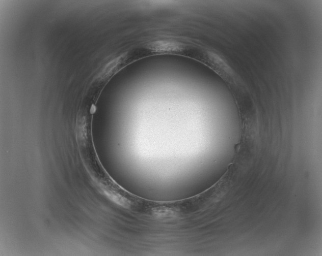 X0000080780549200612151431