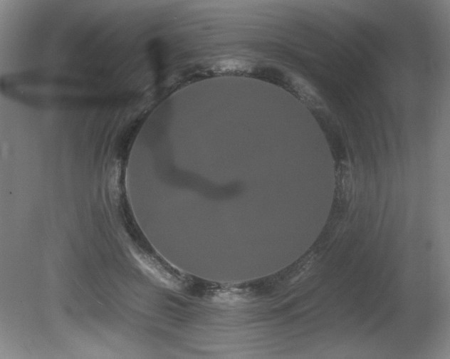 X0000080780550200612151431
