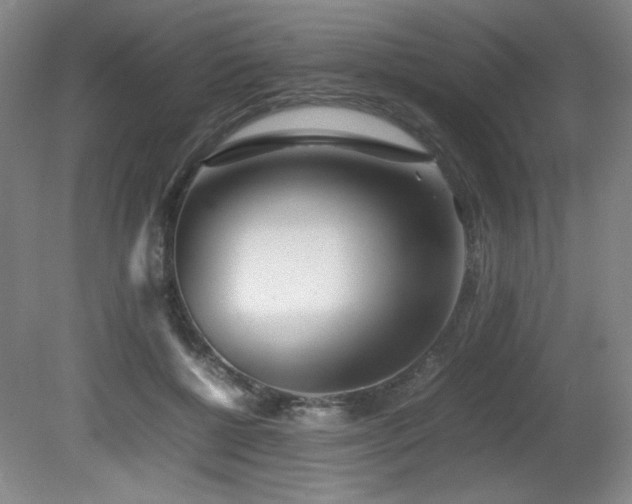 X0000080780552200612151431