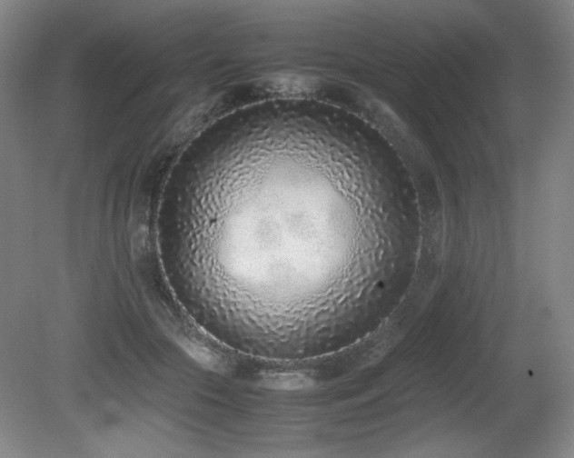 X0000080780553200612151431