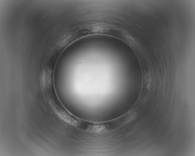 X0000080780554200612151431
