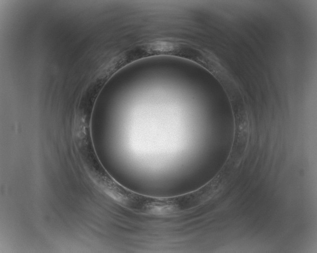 X0000080780555200612151432