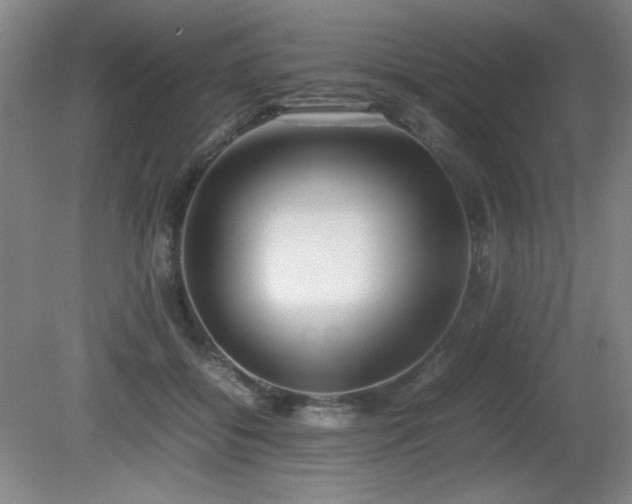 X0000080780556200612151432