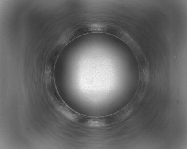 X0000080780557200612151432