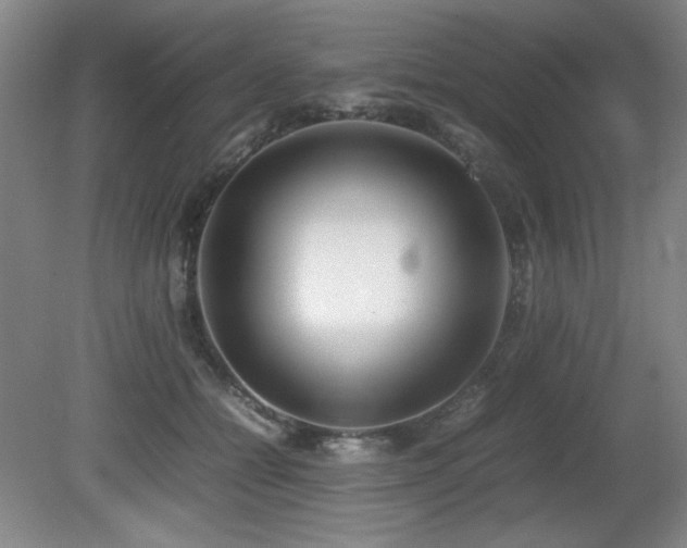 X0000080780558200612151432