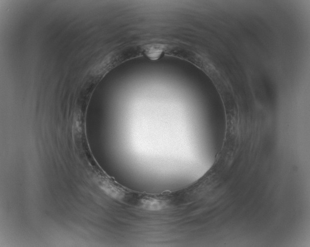 X0000080780561200612151432