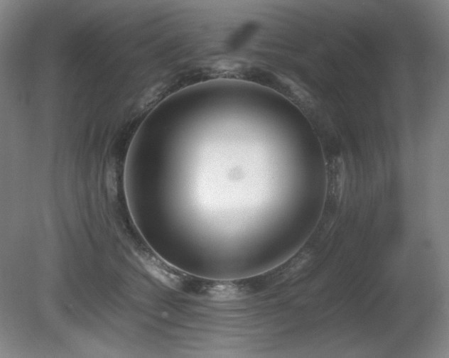 X0000080780562200612151432