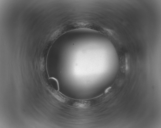 X0000080780563200612151432