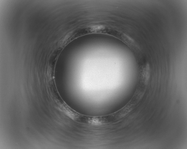 X0000080780565200612151432