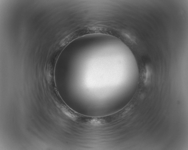 X0000080780566200612151432