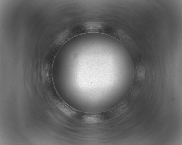X0000080780567200612151432