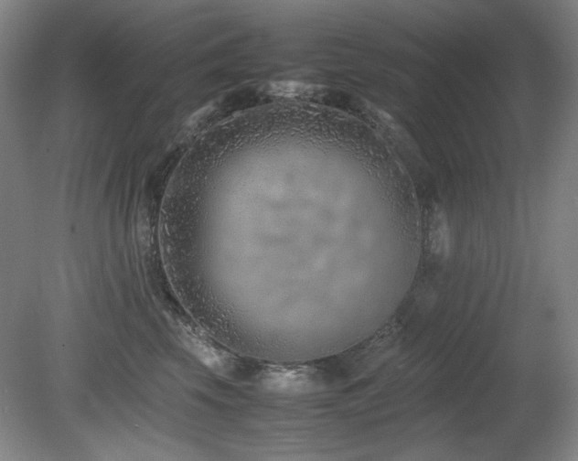 X0000080780569200612151432