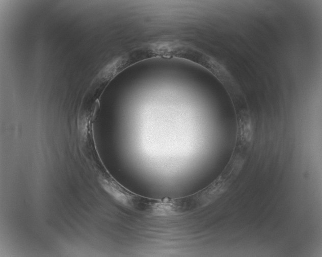 X0000080780574200612151432