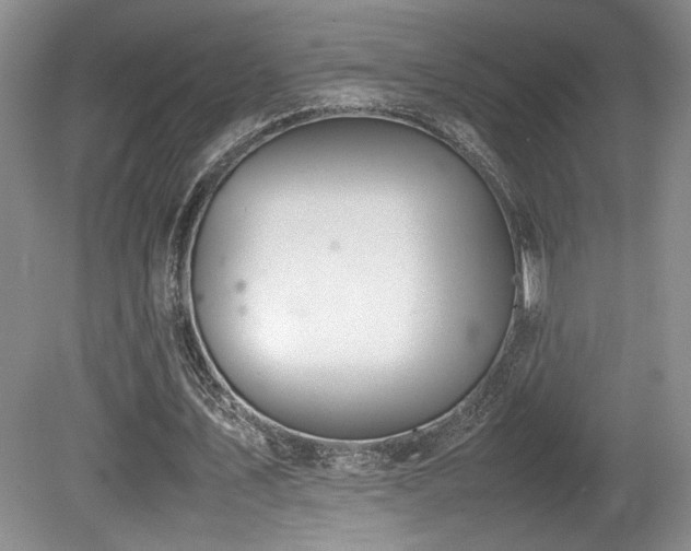 X0000080780579200612151431