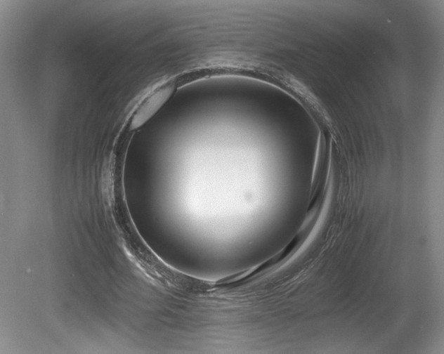 X0000080780580200612151431