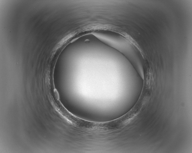 X0000080780581200612151431