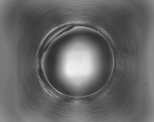 X0000080780584200612151431