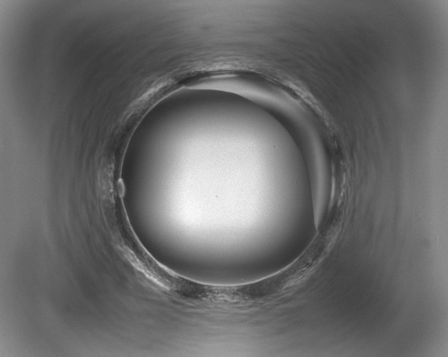 X0000080780585200612151431