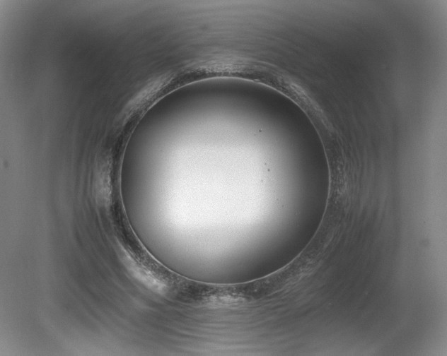 X0000080780586200612151431