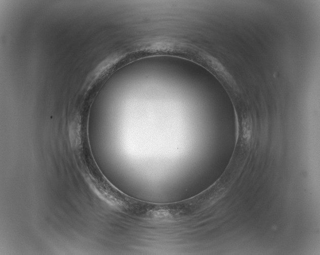 X0000080780588200612151431