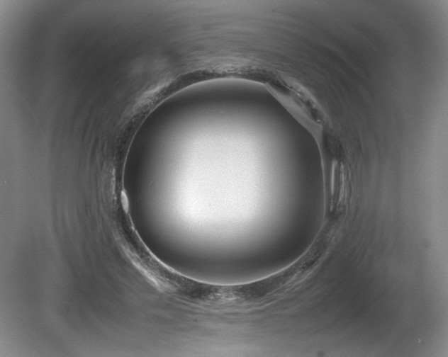 X0000080780589200612151431
