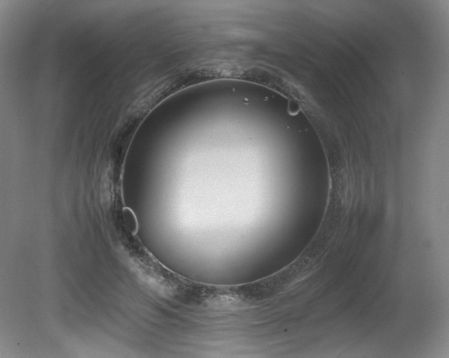 X0000080780594200612151431