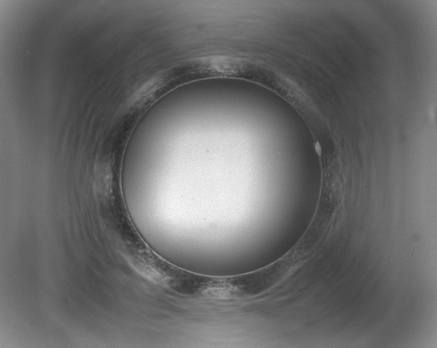 X0000080780595200612151431