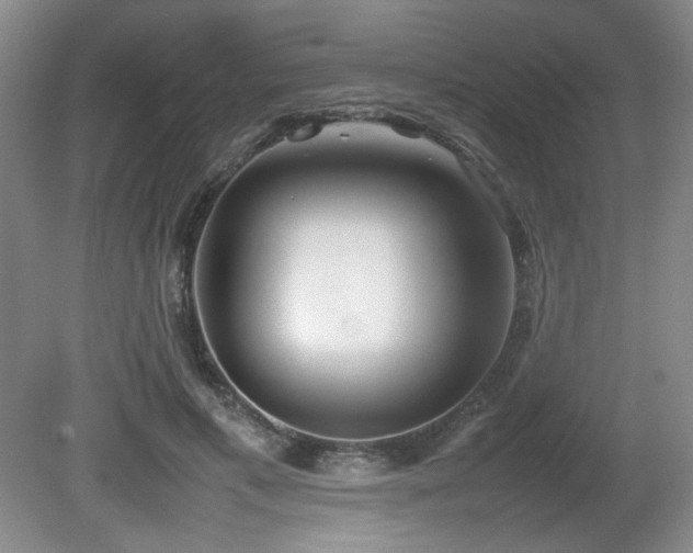 X0000080780597200612151431
